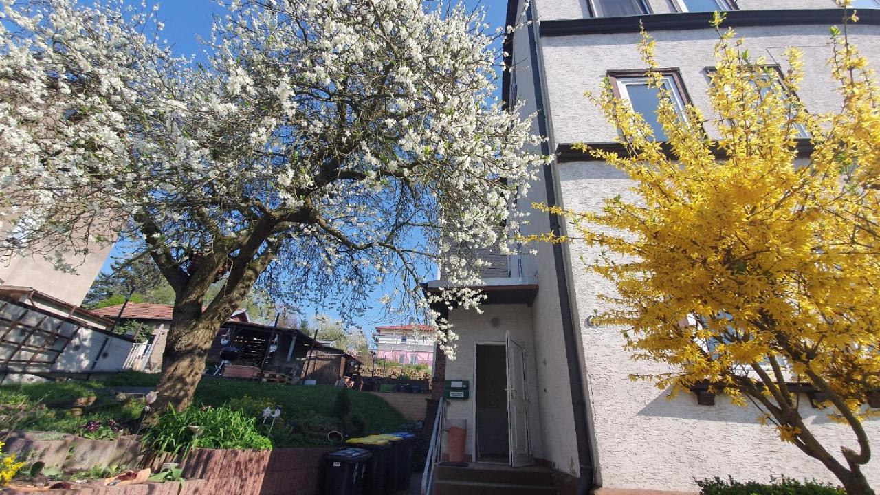Schoene Aussicht, Wallbox, 70Qm, Kontaktloser Check-In 艾森纳赫 外观 照片